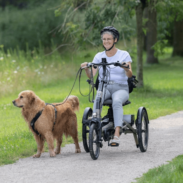 Location tricycle adulte électrique